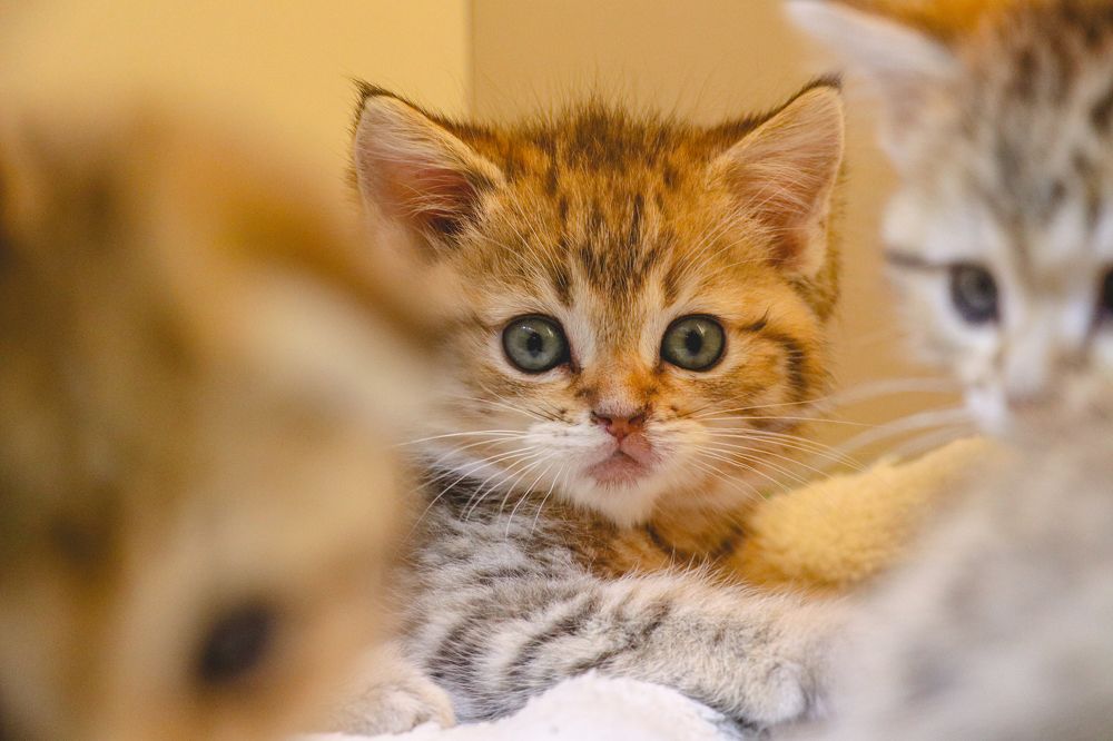 Photograph by Anna Turks