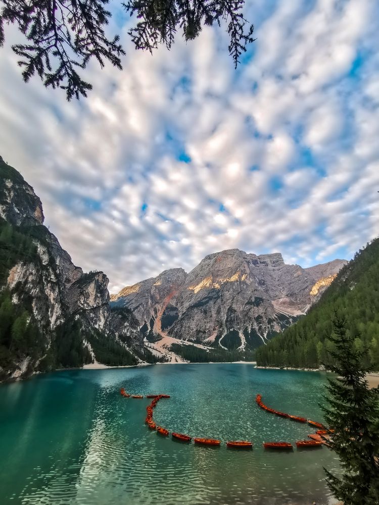 Photograph by Daniel