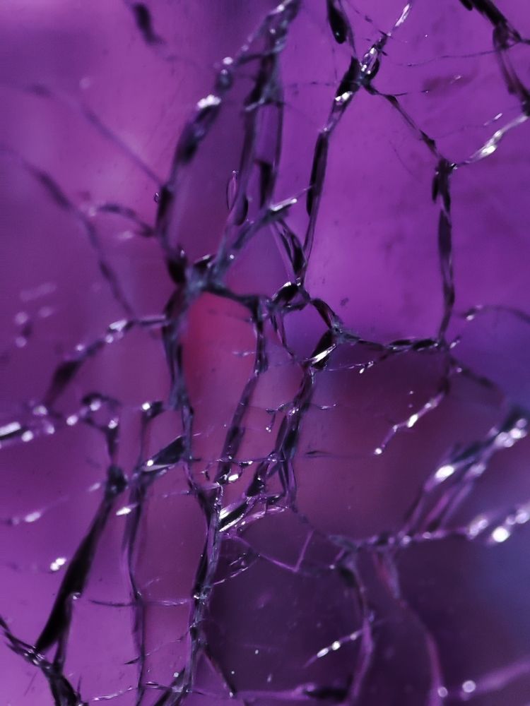 Photograph by ValentinaK