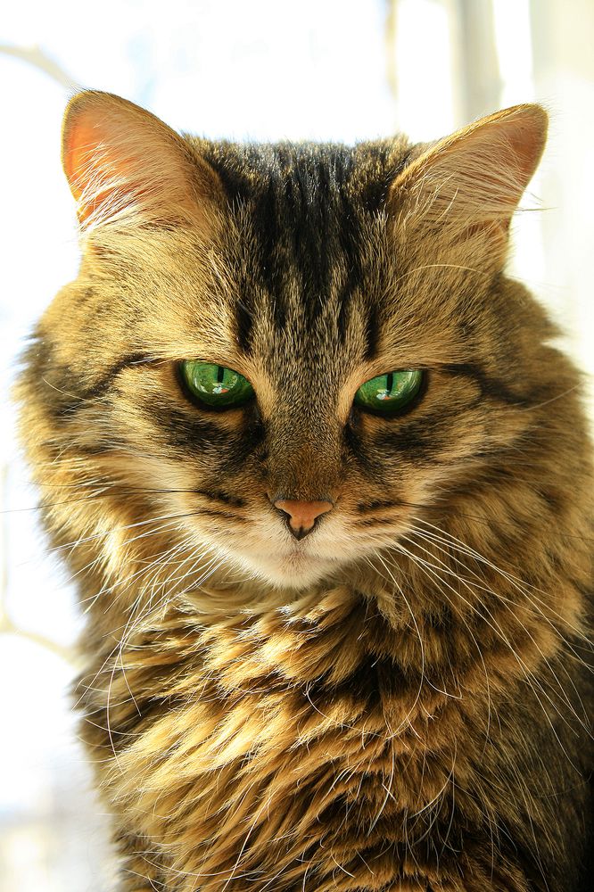 Photograph by Евгений Гонтов