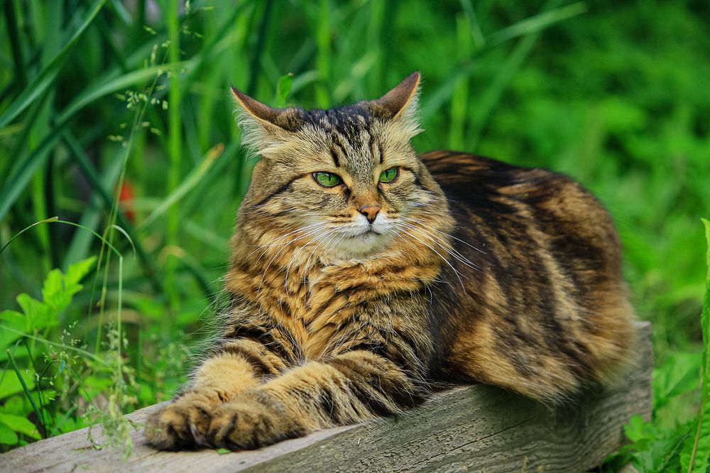 Photograph by Евгений Гонтов