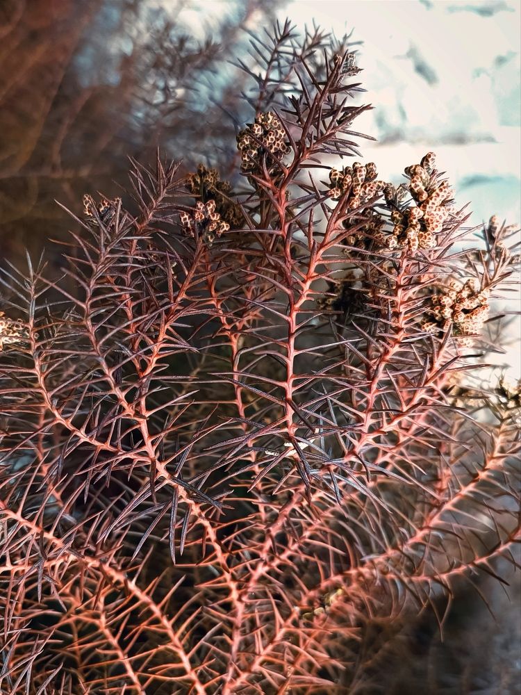 Photograph by Марина Хохрякова