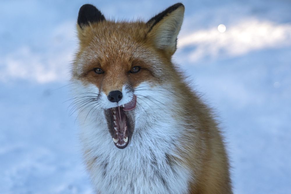 Photograph by Татьяна Борисова