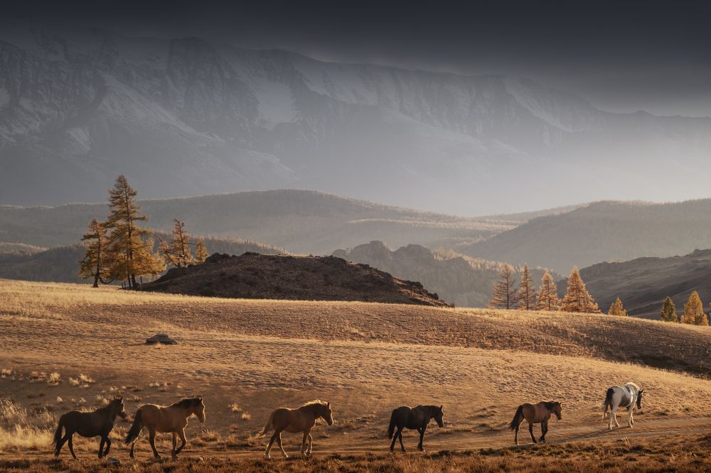 Photograph by Дмитрий Купрацевич