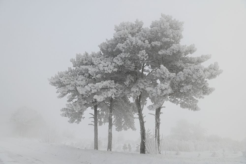 Photograph by Юрий Гау