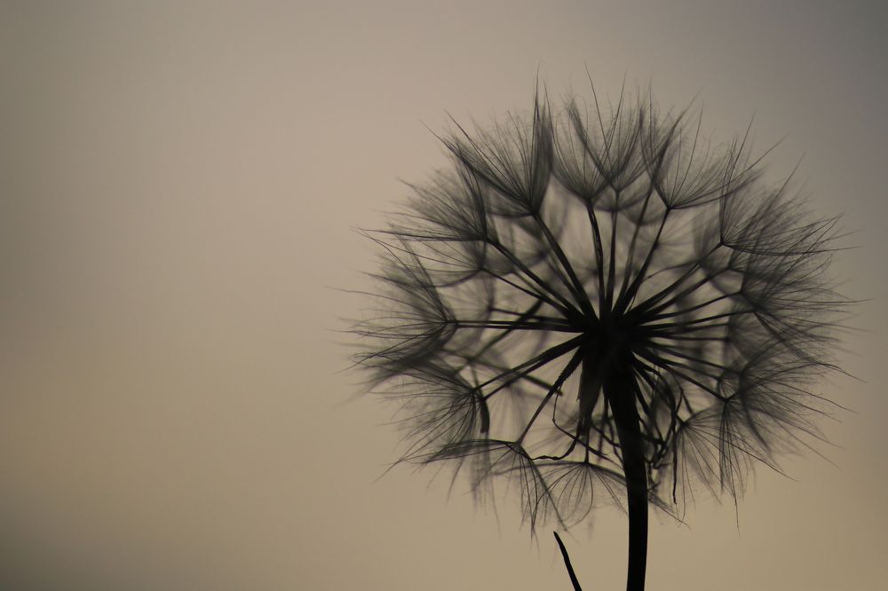 Photograph by Юлия Щетинина