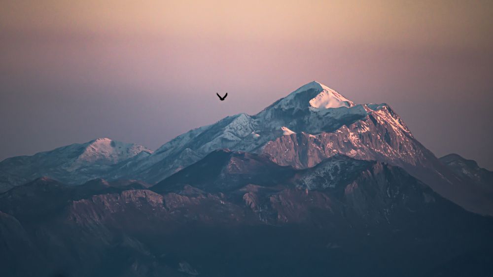 Photograph by Maksim Goncharov