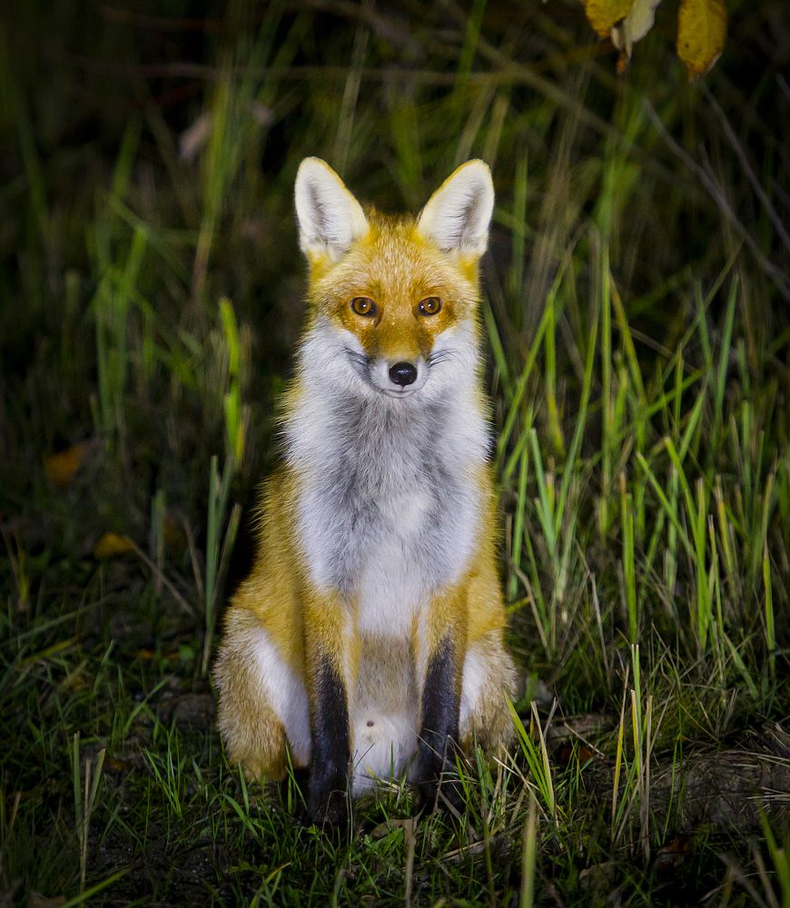 Photograph by Дмитрий Черепков