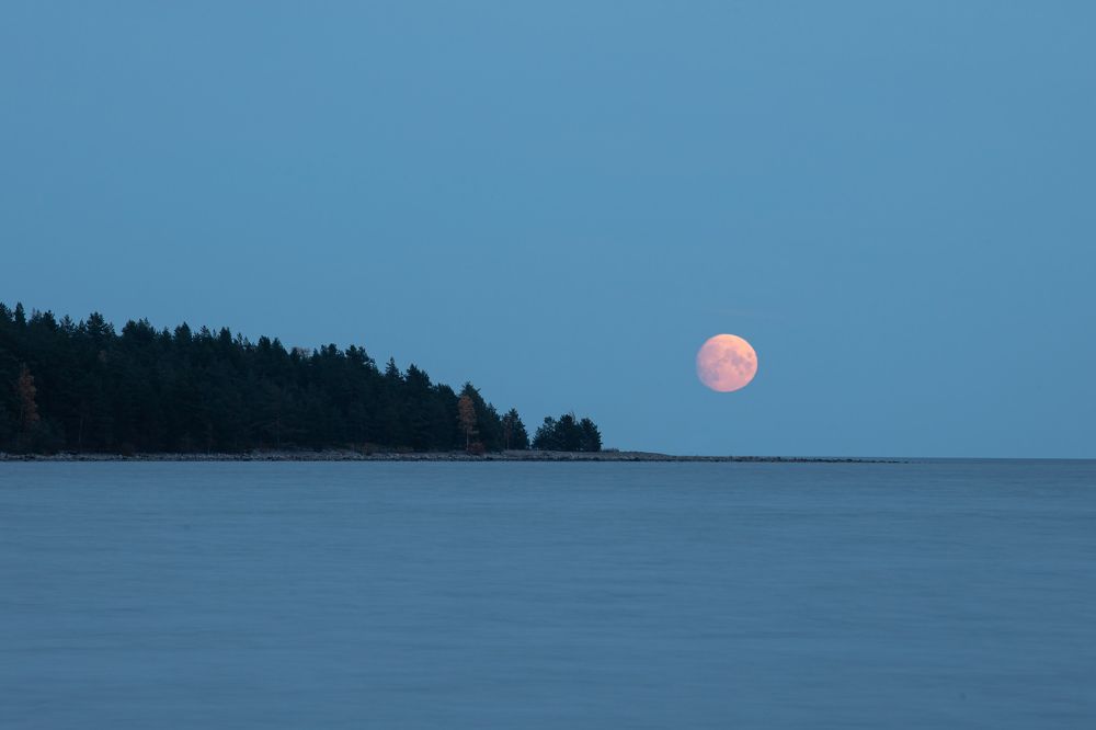 Фотография автора Александр Колдин