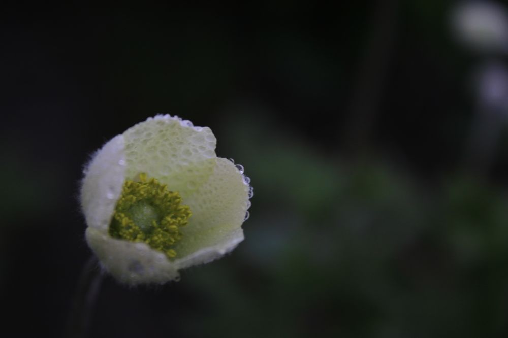 Photograph by Юлия Щетинина