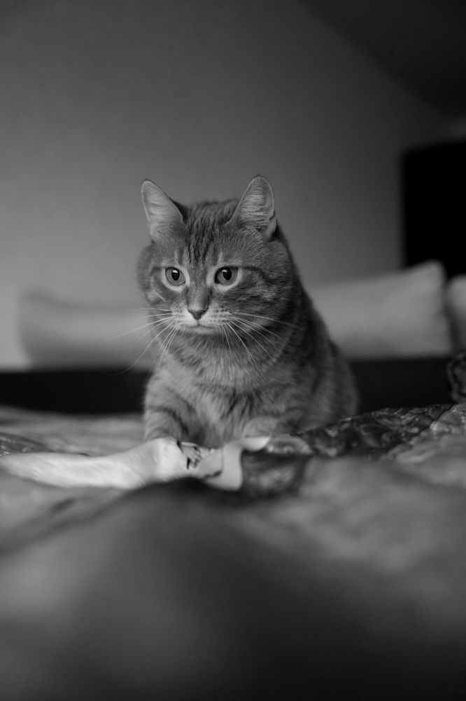 Photograph by Олеся Владимирова