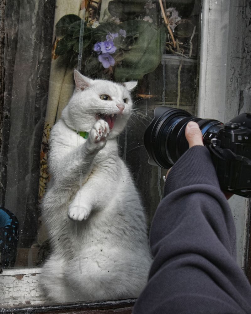 Photograph by Надежда Буаллаг