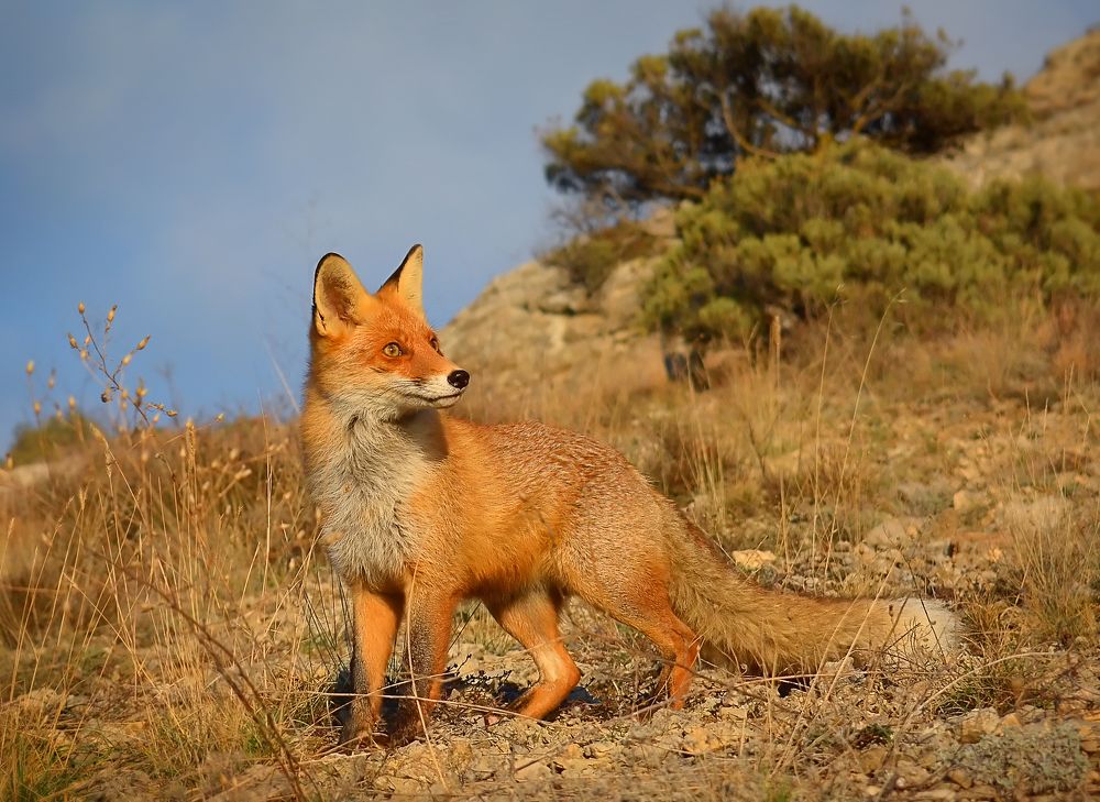 Photograph by Михаил Колтухов