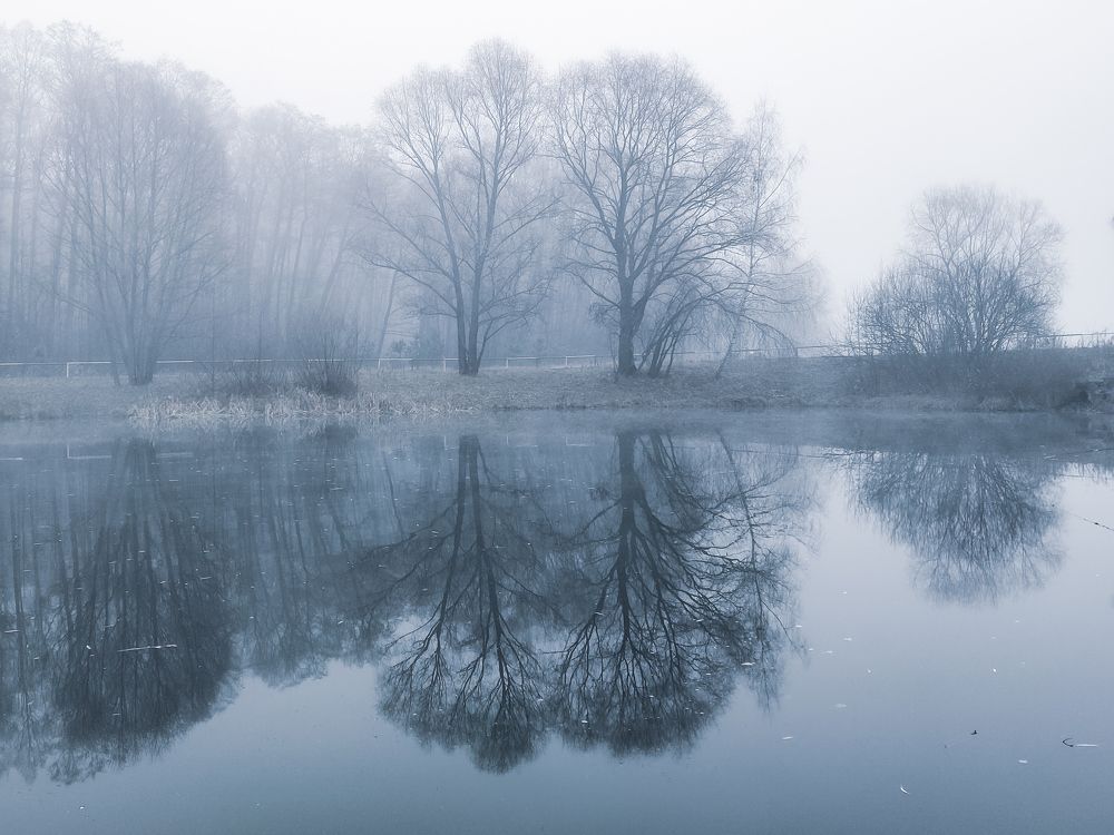 Photograph by Ольга Тюрина