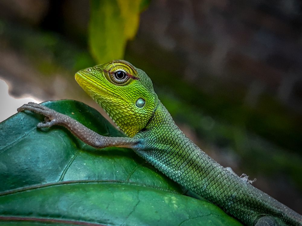 Photo #8885534
