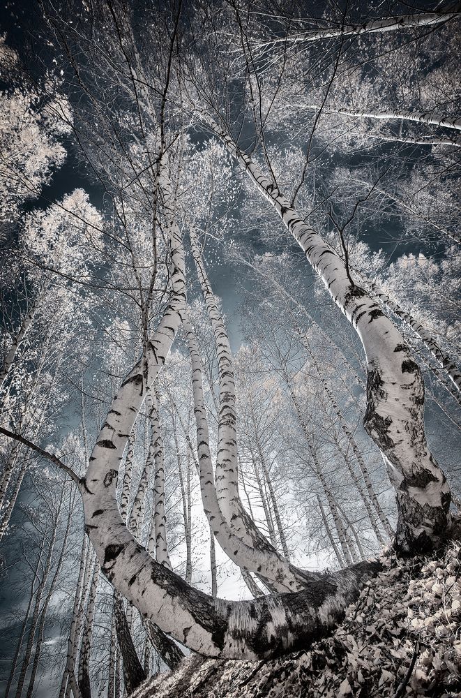 Photograph by Тамара Андреева