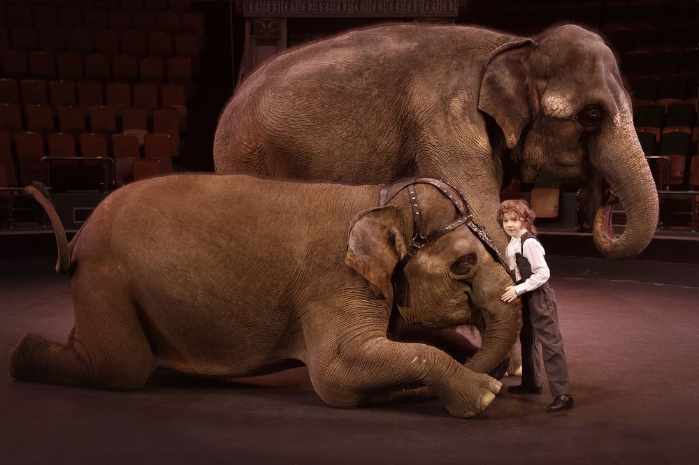 Мои большие, добрые друзья