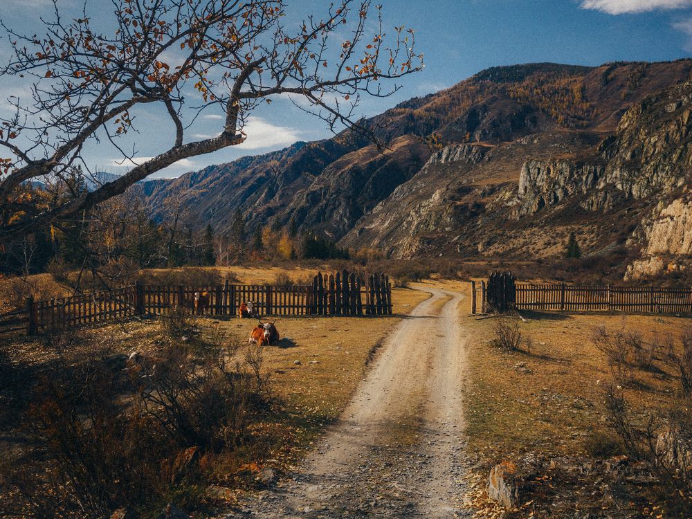 Photograph by Гагарин Виктор