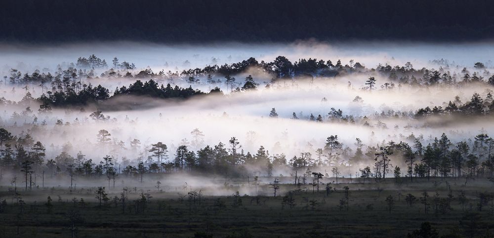 Photograph by Herve Rannu