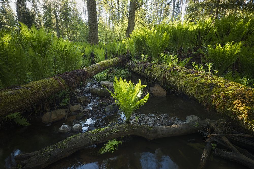 Photograph by Herve Rannu