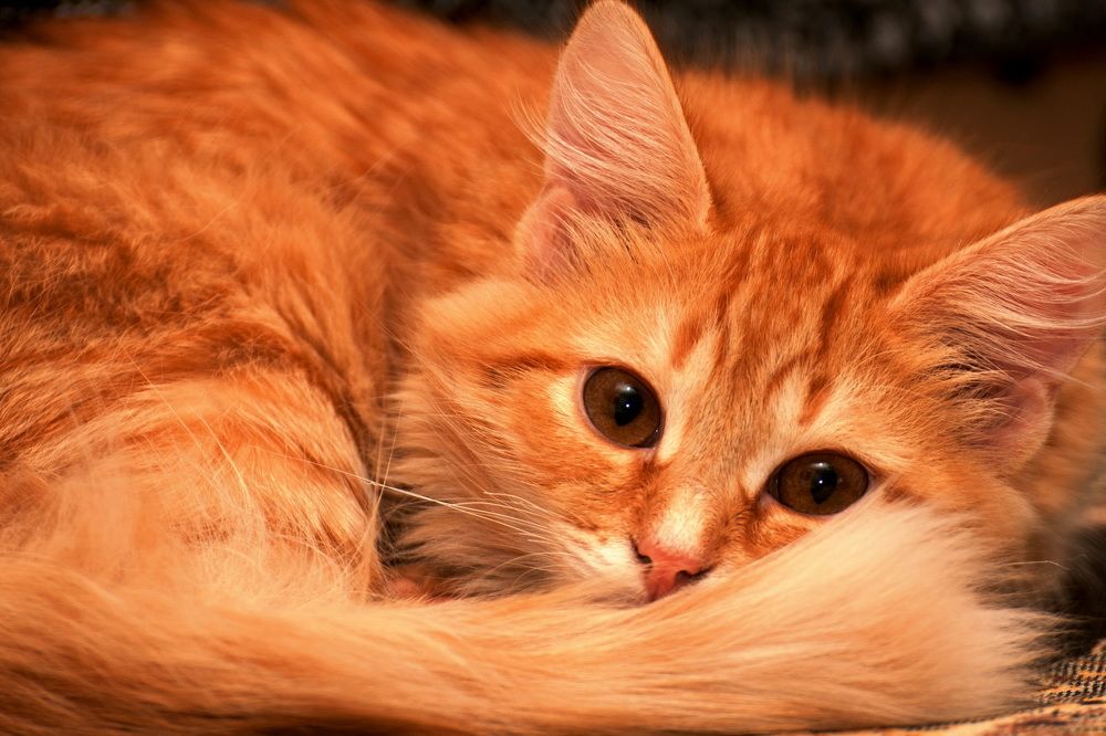 Photograph by Владимир Акиньшин