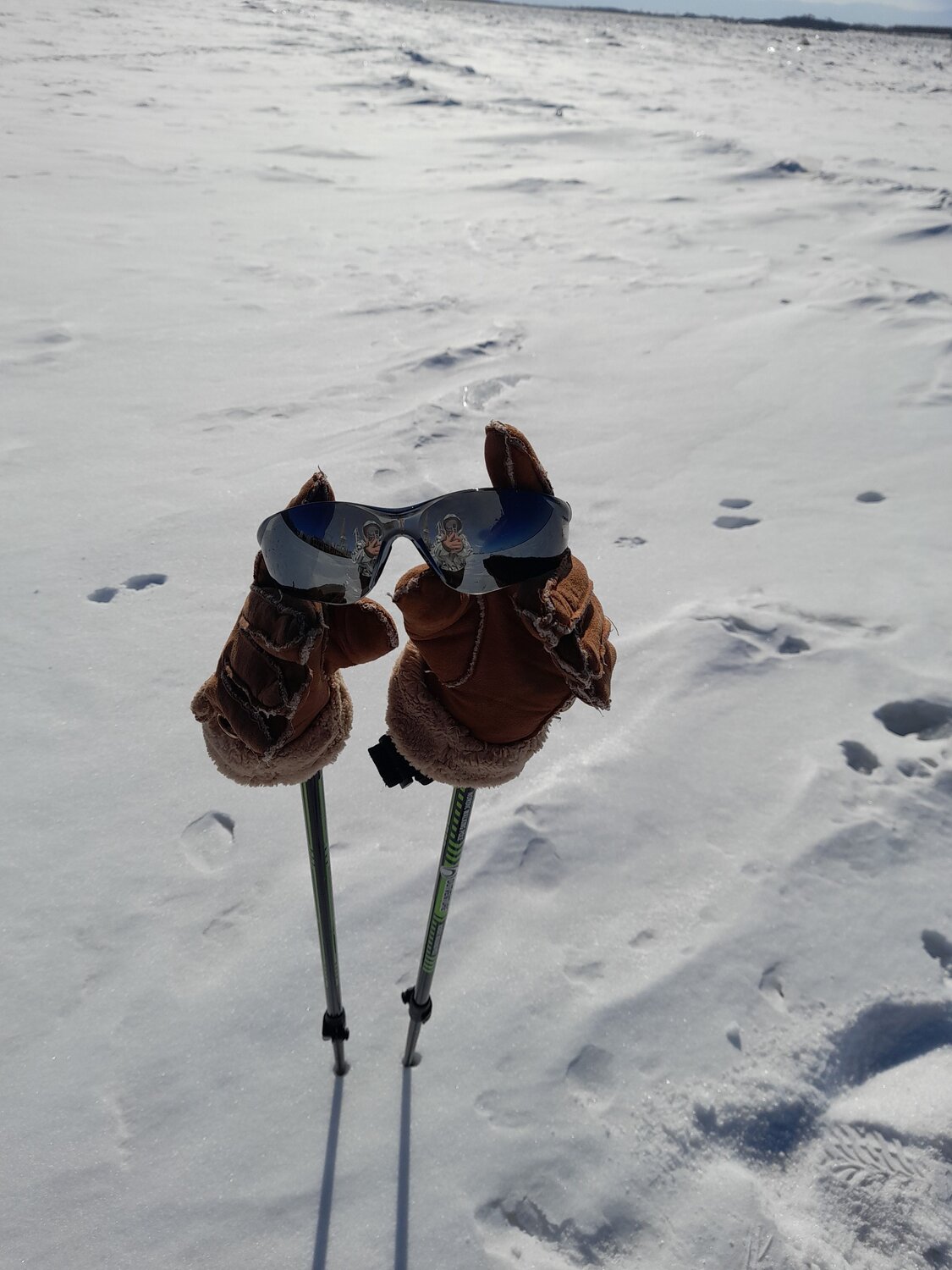 Photo #8885718