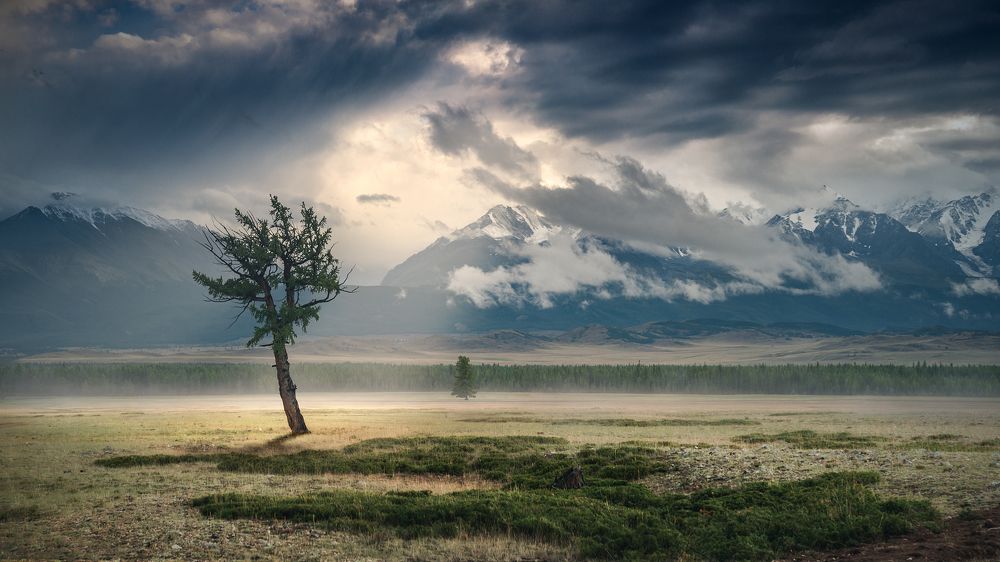 Курайская степь