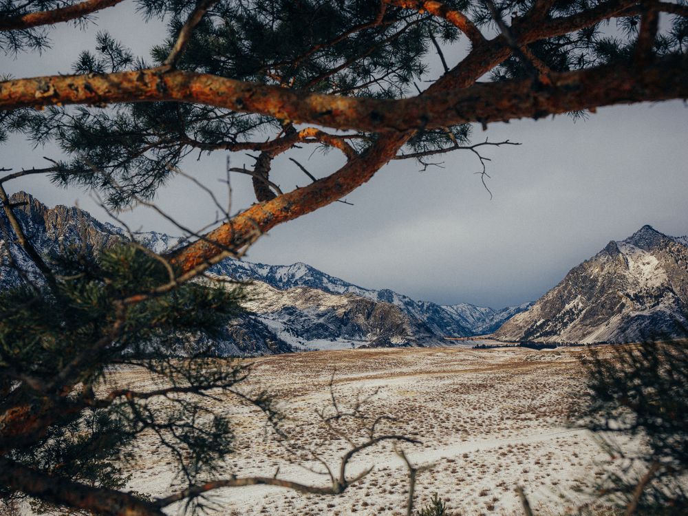 Photograph by Гагарин Виктор