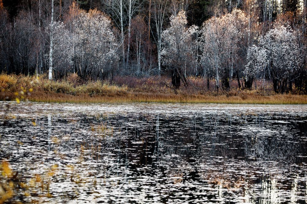 Седая осень