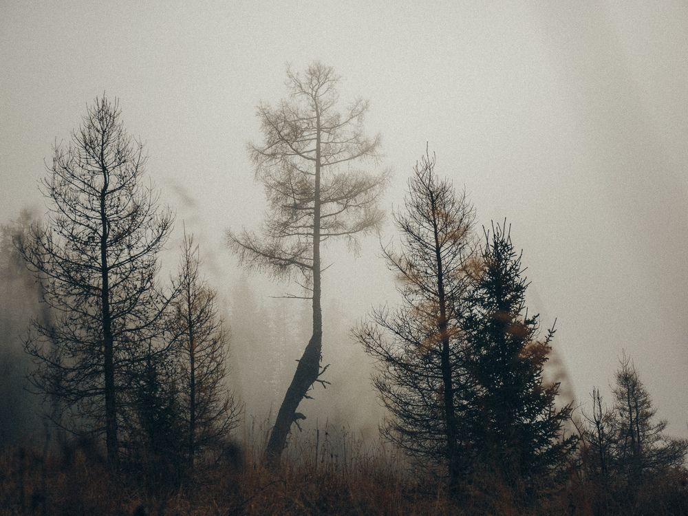 Photograph by Гагарин Виктор