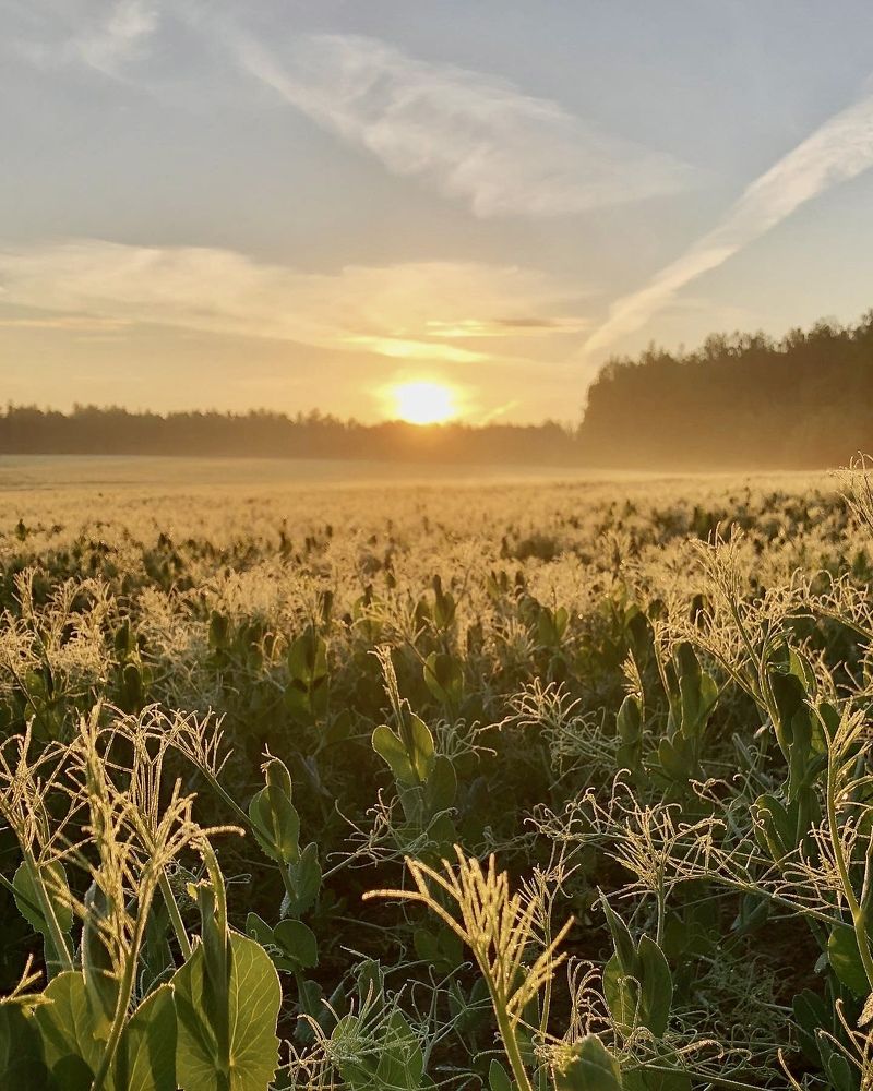 Photograph by Лариса Акинчиц