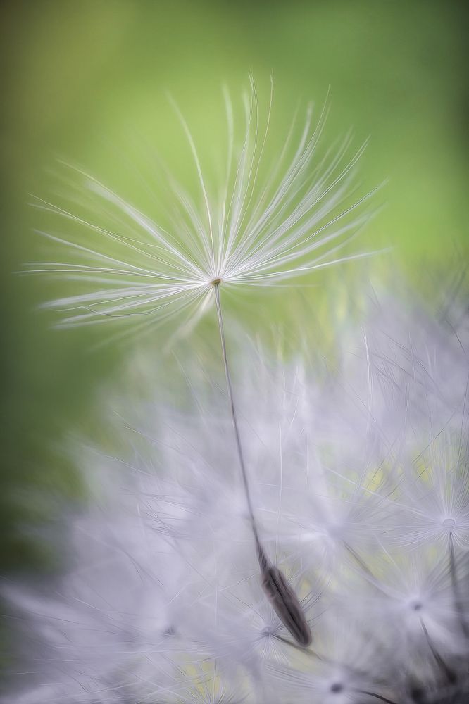 Время полётов...