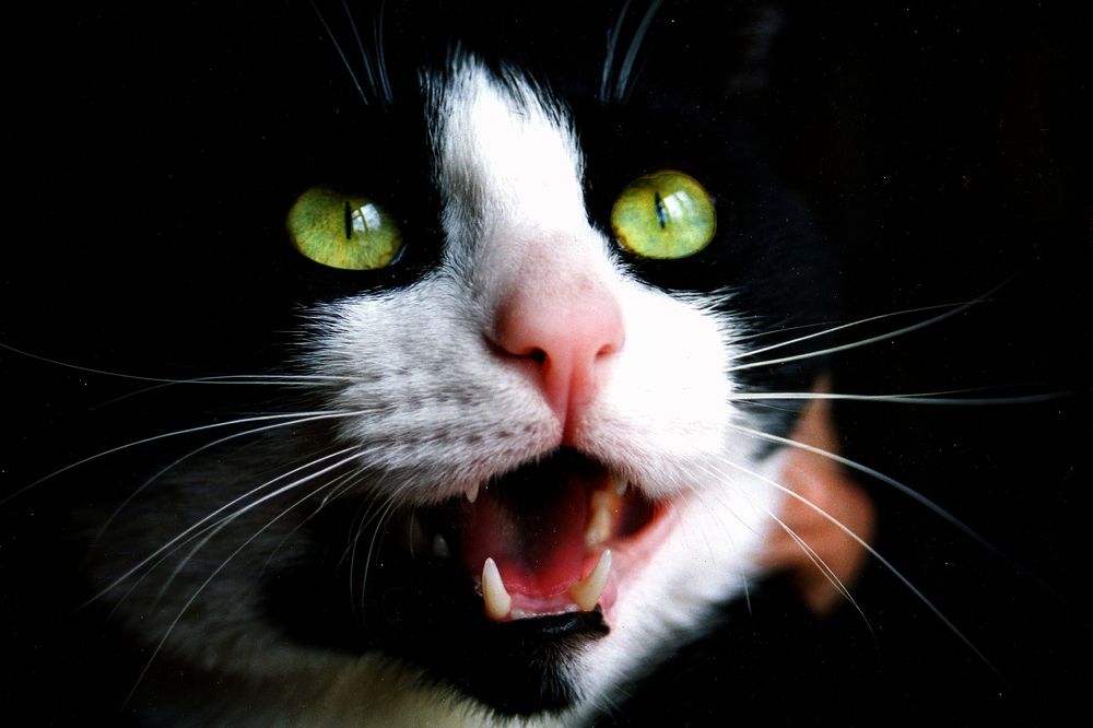 Photograph by Vitaliy Saposhnikov