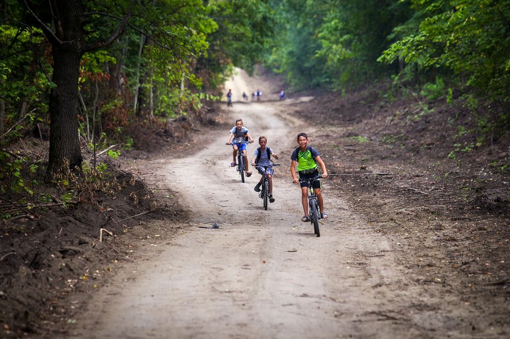 Наперегонки
