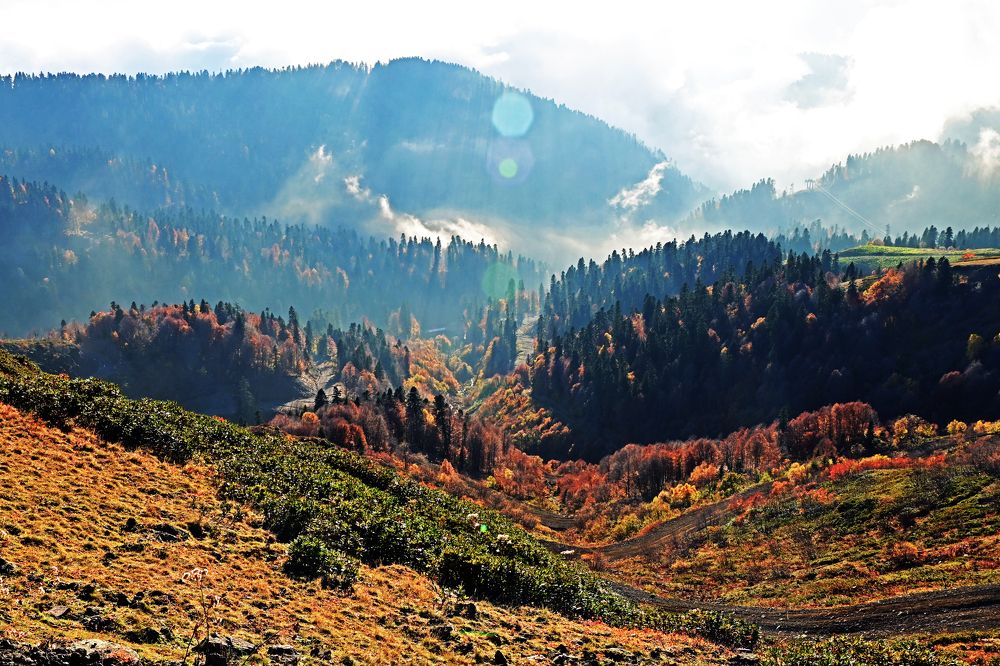 Photograph by Сергей Кривоносов