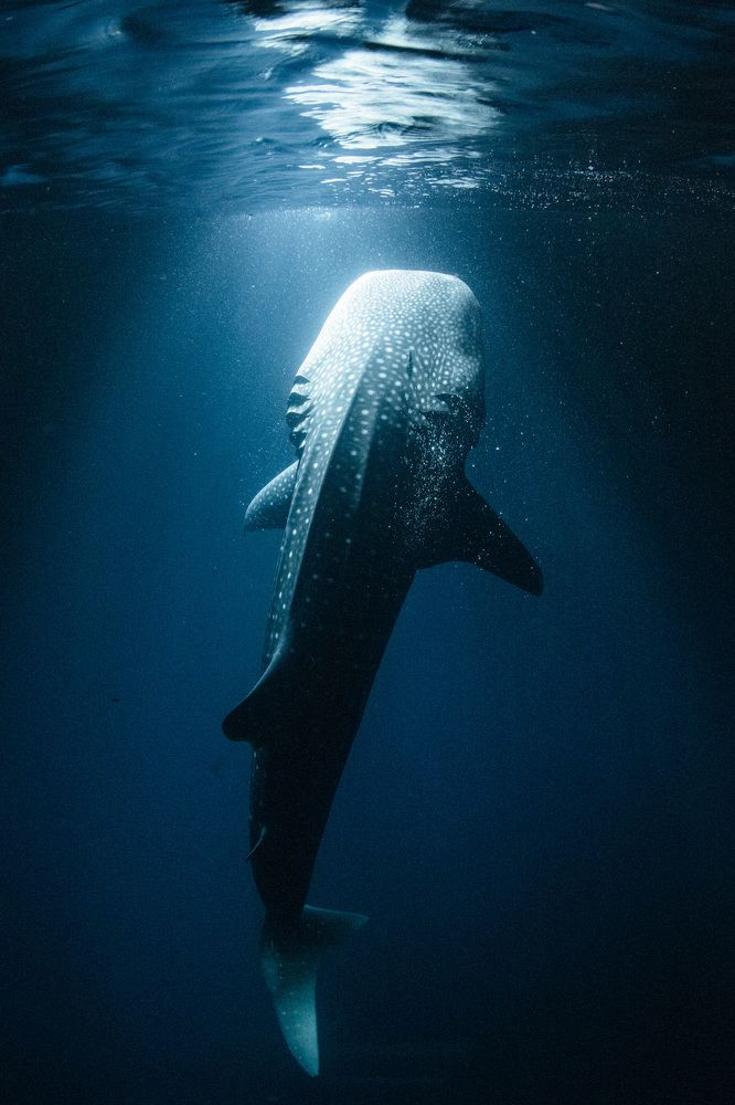 Photograph by HITOMI TSUCHIYA