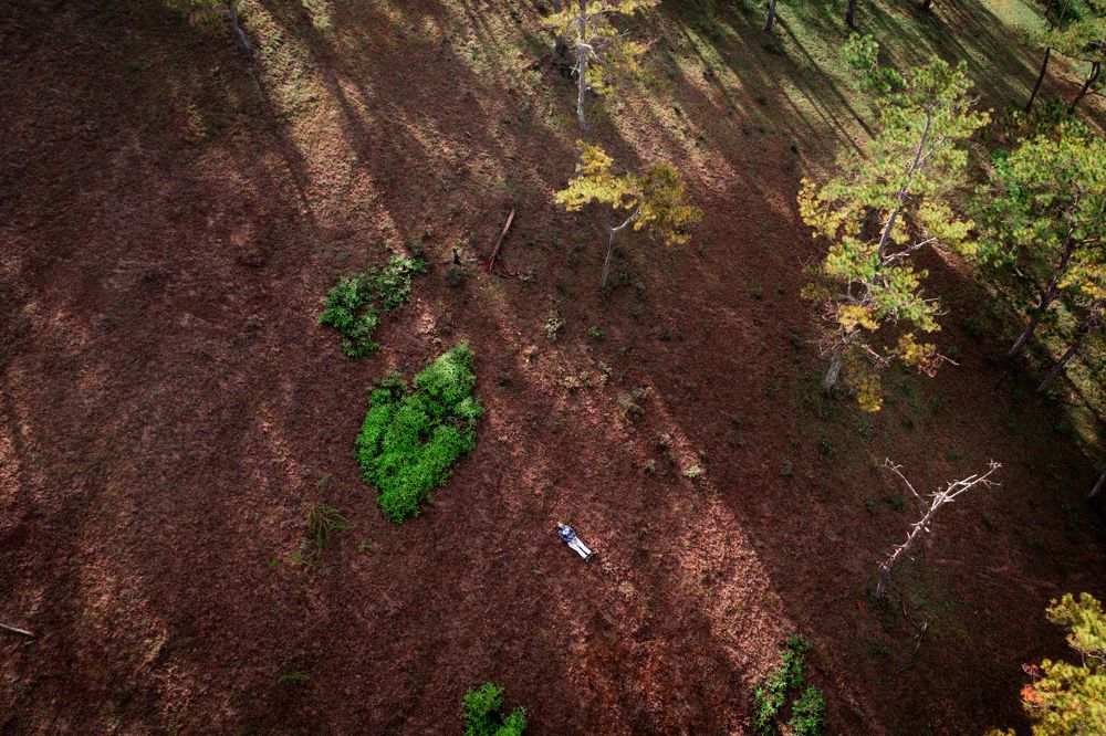 Lying down feel nature