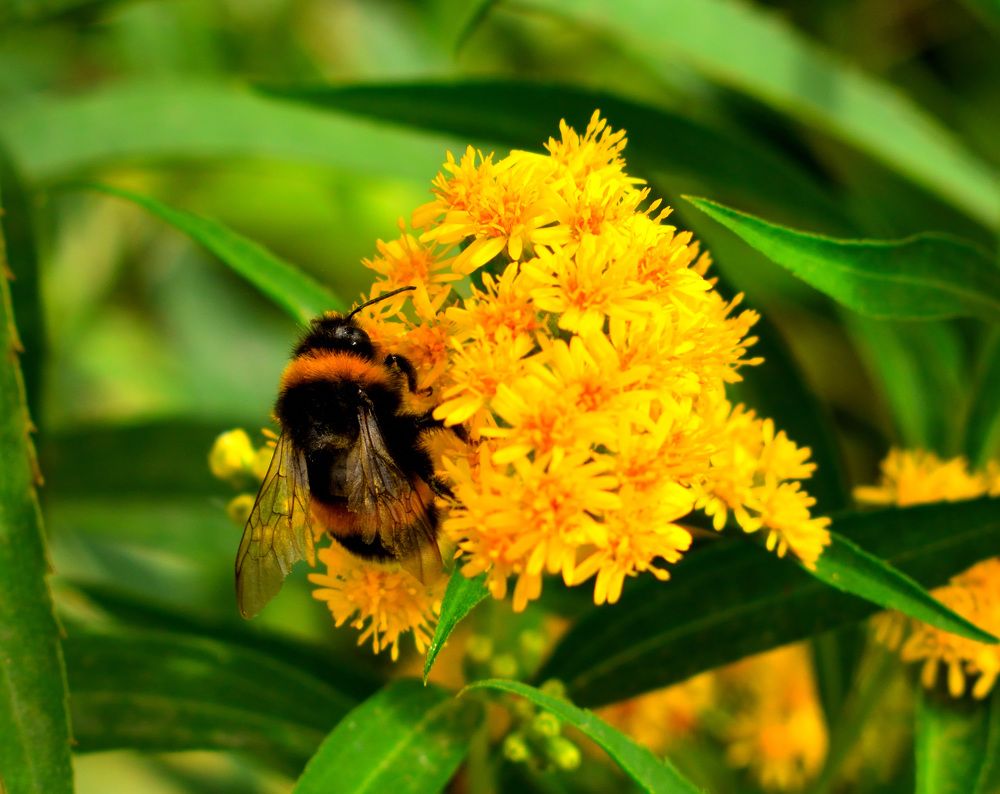 Фотография автора Tkachev Aleksey