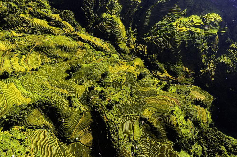 Photograph by Nguyen Ngoc Tuan