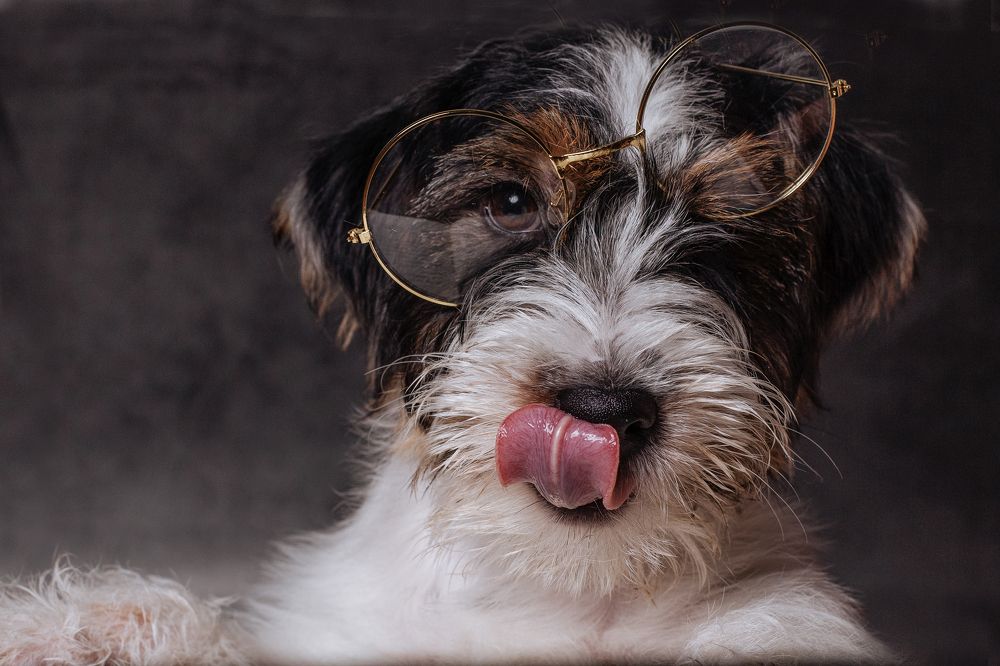 Photograph by Оксана Лукшина