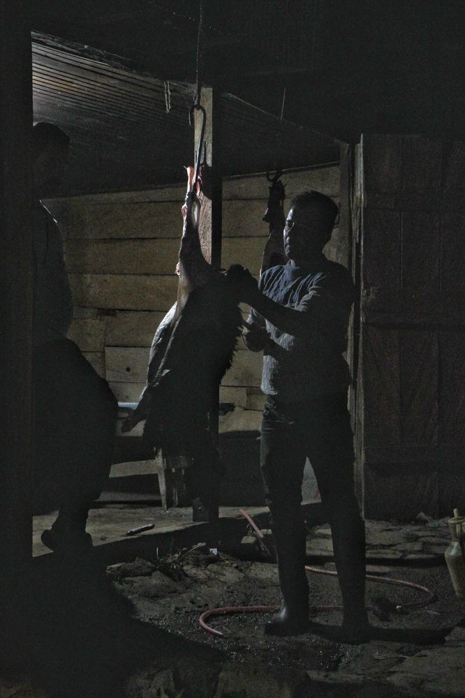 Photograph by pezhman taheri lisar