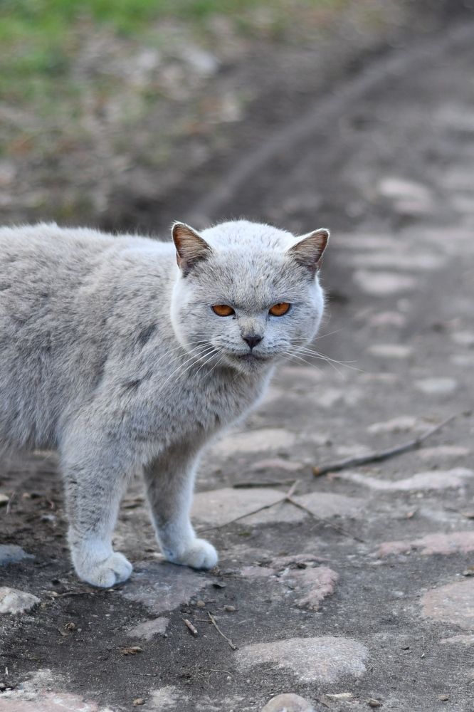 Photograph by Валентина Хмелевская