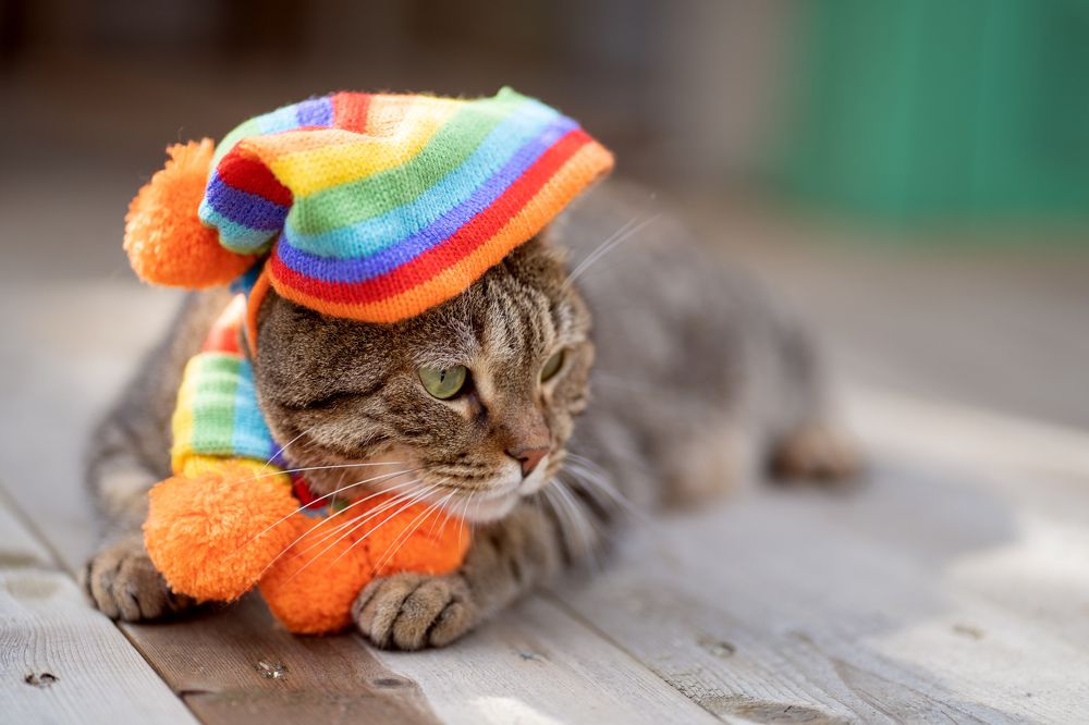 Photograph by Анна Гриневич