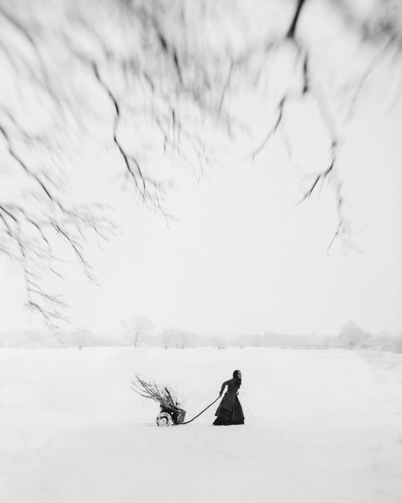 Photograph by Moga Alexandru