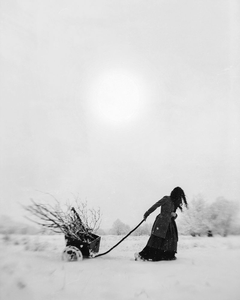 Photograph by Moga Alexandru