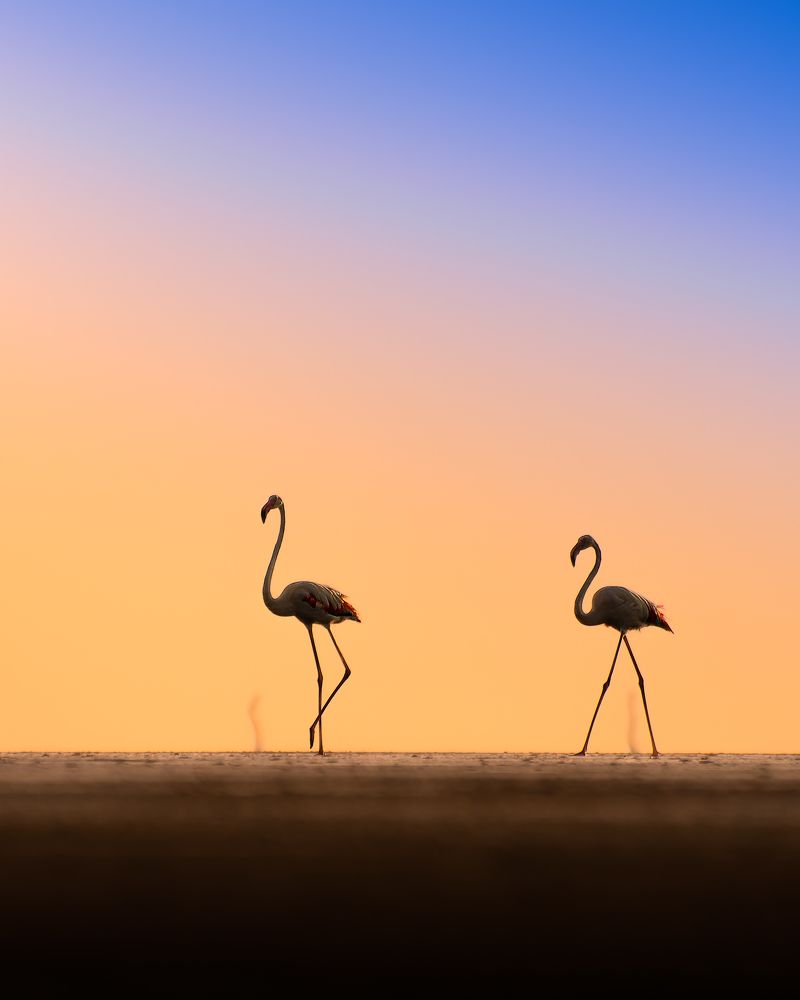 Photograph by kansara parth