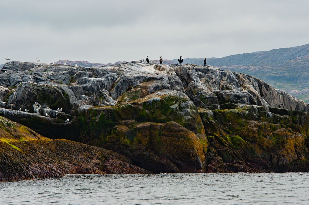 Photograph by Олег Корешонков