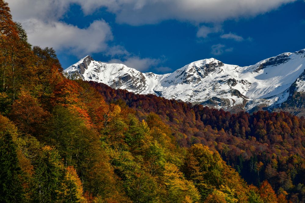 Photograph by Олег Корешонков