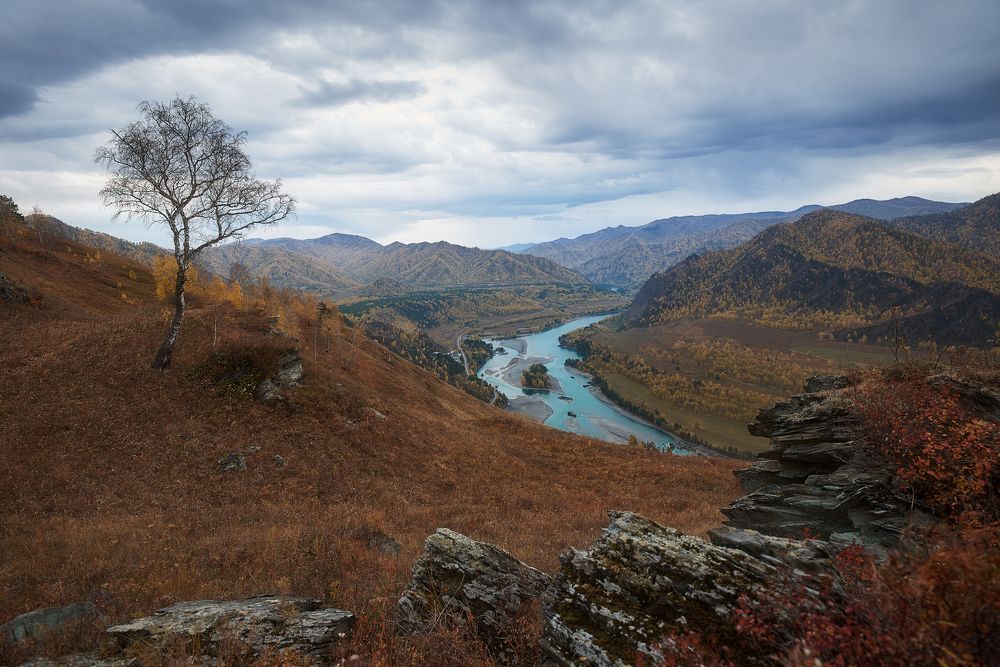 Photograph by Чехонин Александр