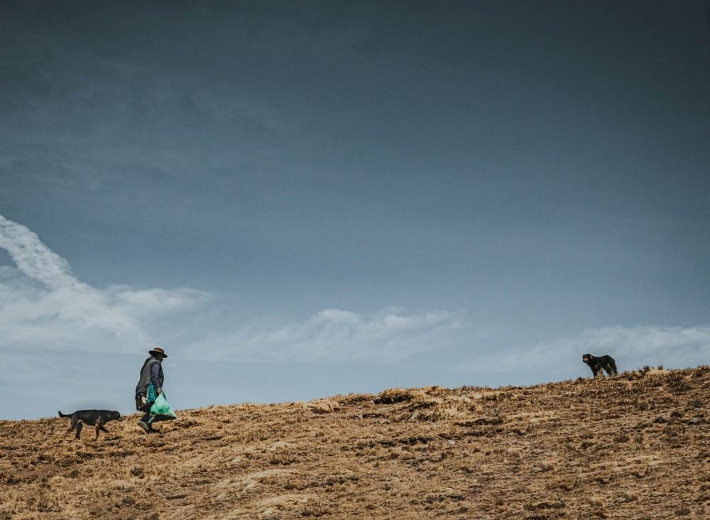 Photograph by Anais giuliana Catachura